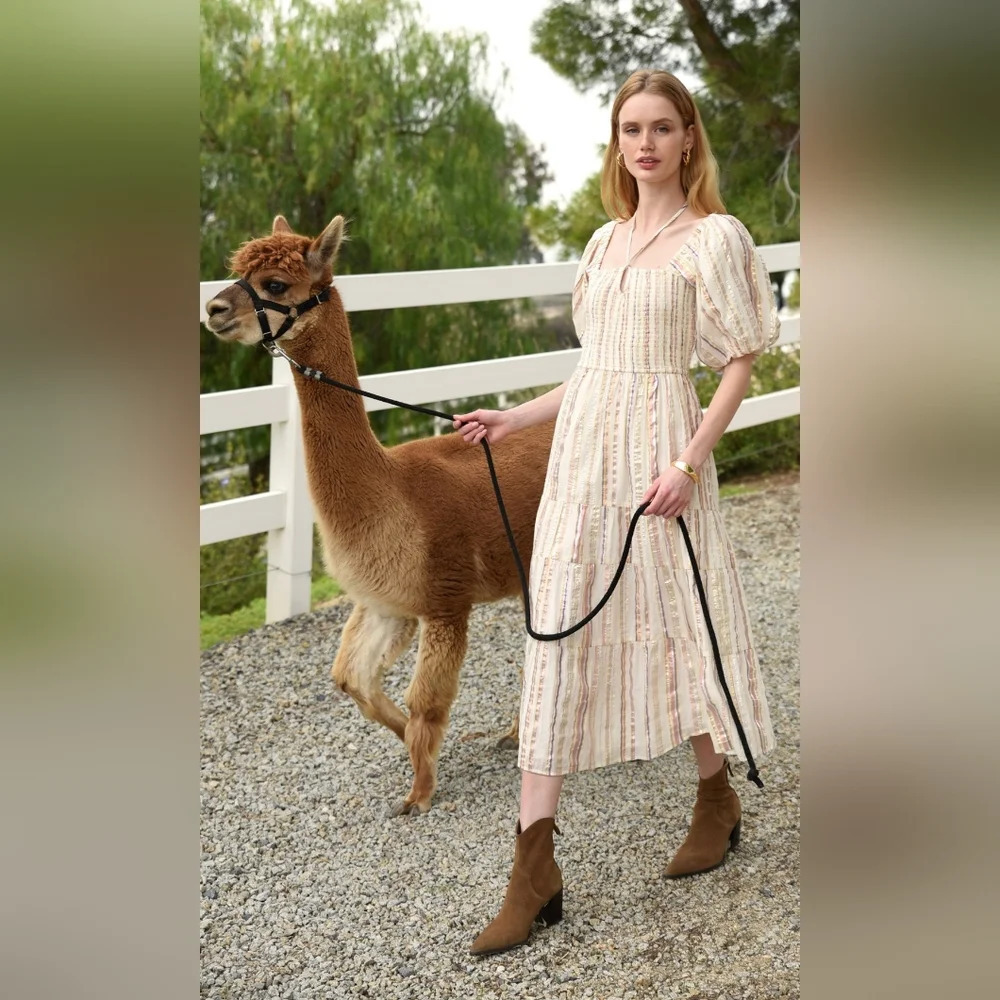 Greylin dress